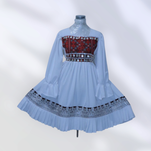 Half Afghani Gand dresses
